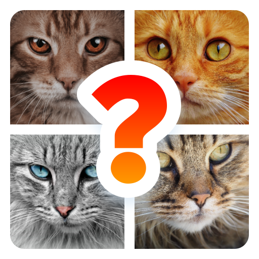 Cat Breed Quiz Game (Cat Game) icon