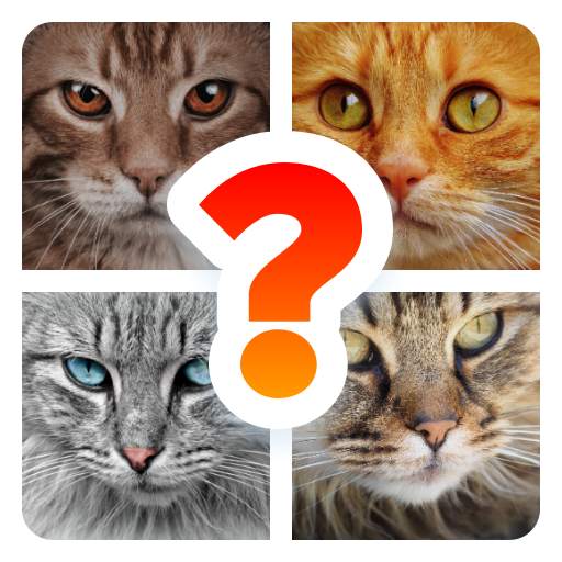 Cat Breed Quiz Game (Cat Game) 8.10.4z