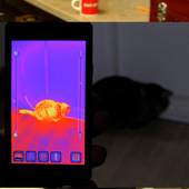 Infrared New Camera: New Thermal Vision 1.0