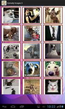 Funny Animals  Images screenshot 2
