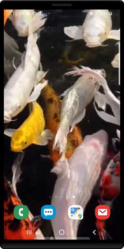 Koi Live Wallpaper screenshot 5