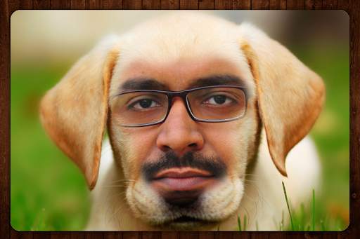 Animal Photo Faces screenshot 2