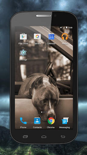 Fighting Dogs Live Wallpaper screenshot 3