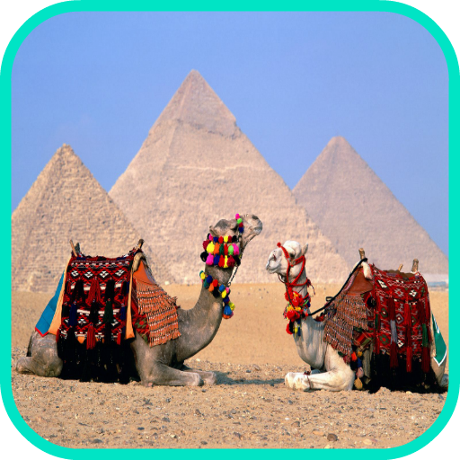 Camel Wallpaper icon