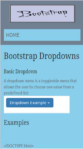Offline BootStrap-W3shool screenshot 5