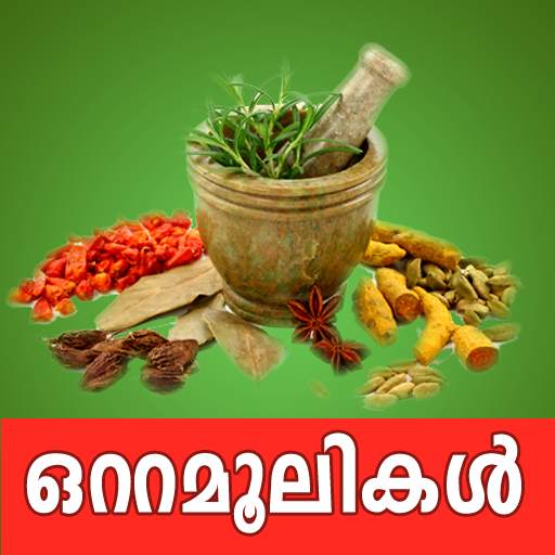 Ottamoolikal in Malayalam free app 2.0