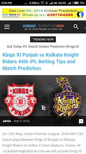 Cricket King screenshot 1