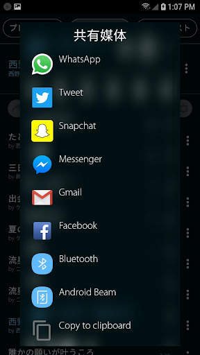 Mp3 Player screenshot 17