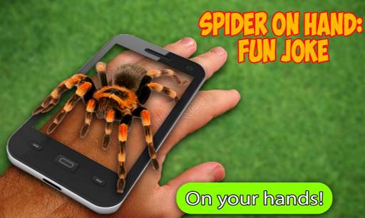 Scary Spider AR screenshot 2