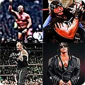 Guess WWE Wrestler 7.1.2z
