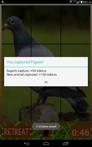 Safari World screenshot 13