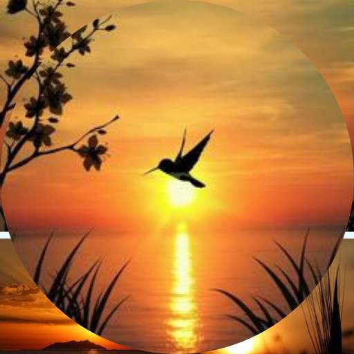 Sunset Wallpaper for Android 4K HD 1.0.0