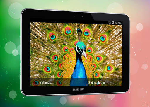 New Peacock Live Wallpaper screenshot 2