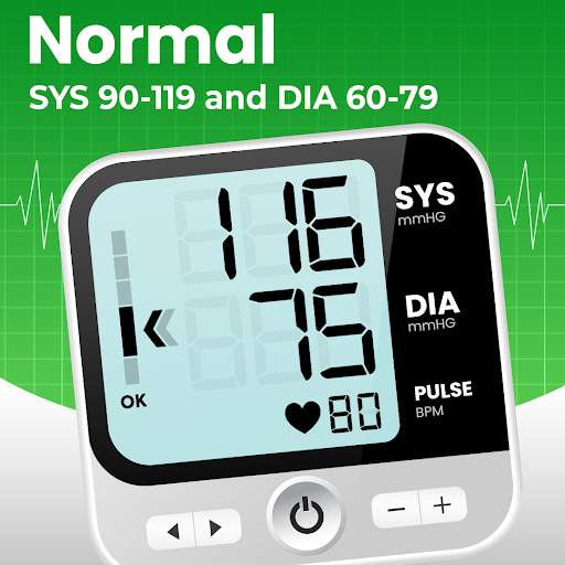 Blood Pressure Tracker App screenshot 2
