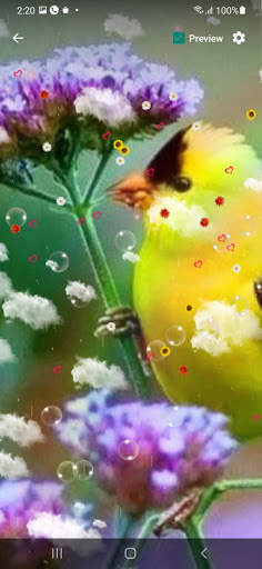 Bird Live Wallpaper screenshot 12