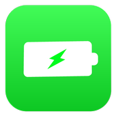 ikon Fast Battery Charger