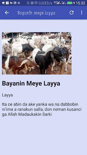 Bayanai Akan Layya скриншот 6