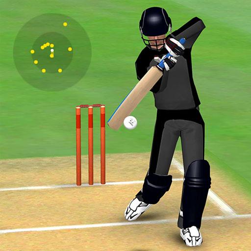 ikon Smashing Cricket: cricket game