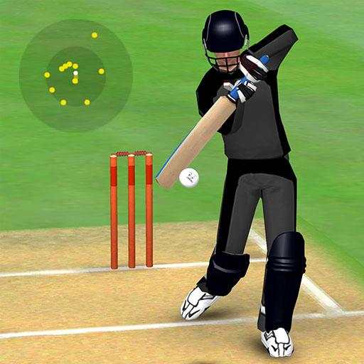 Smashing Cricket: cricket game 3.5.8