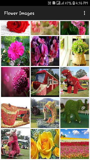 Flower Images screenshot 5