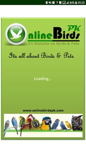 Online Birds PK screenshot 6