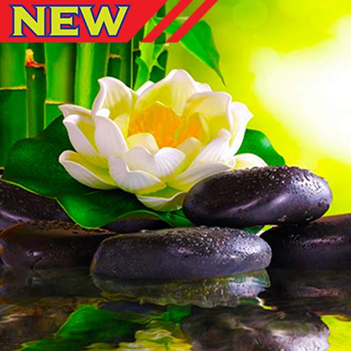 Relaxation Music 2.0