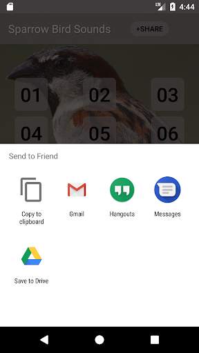 Sparrow Bird Sounds screenshot 3