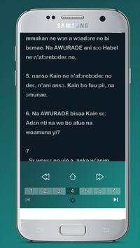 Twi bible old and new testament screenshot 2