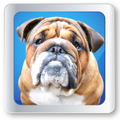 My Pet Salon icon