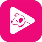 hmv PLAY 2.0.25