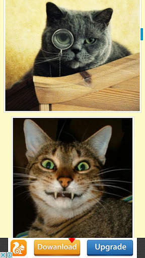 Funny Cat screenshot 2