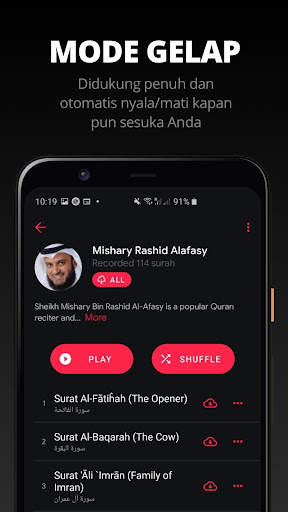 Quran Pro - Qur'an screenshot 4