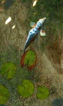 Koi Fish 1 live wallpaper screenshot 3