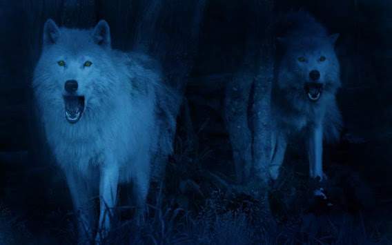 Wolves Night live wallpaper screenshot 5