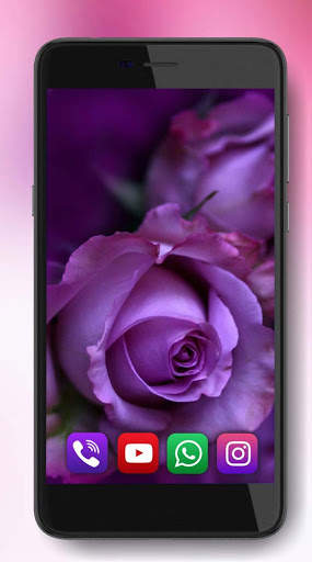 Roses Amazing Live Wallpaper screenshot 7