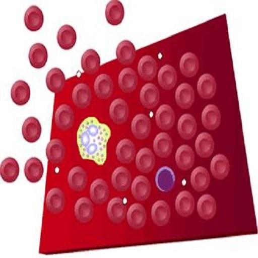 Hematology Overview icon