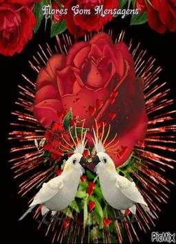 Animated Images Gif скриншот 6
