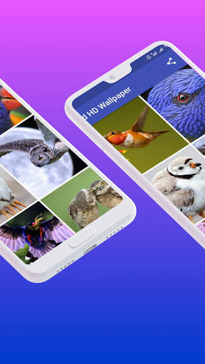 Bird HD Wallpaper screenshot 1