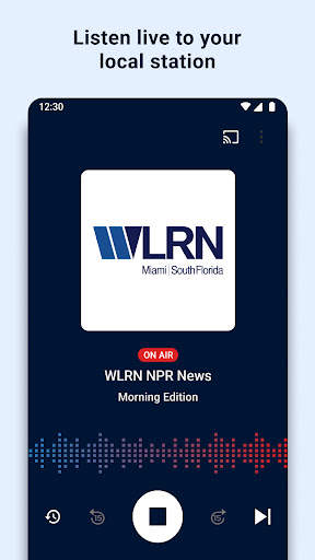 NPR screenshot 3