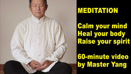 Qigong Meditation (YMAA) Dr.Yang, Jwing-Ming screenshot 7