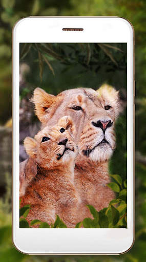 Lion King Jungle screenshot 5