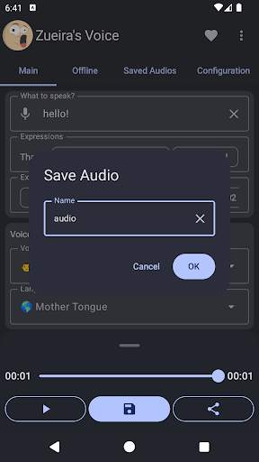 Zueira’s Voice: Text to Speech screenshot 3