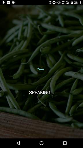 Listens for Alexa screenshot 5