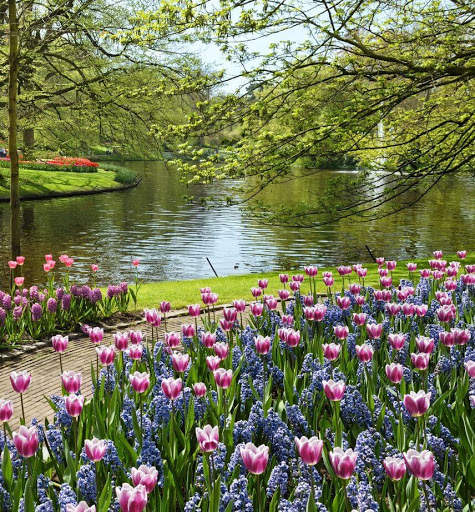 Beautiful Garden Wallpaper screenshot 4