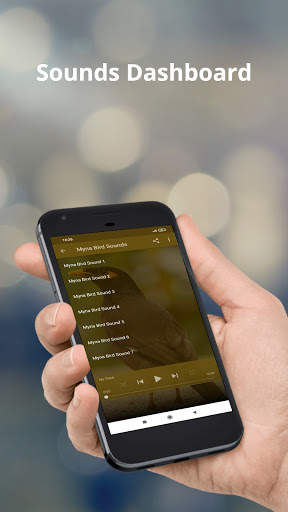Myna Bird Sounds screenshot 1