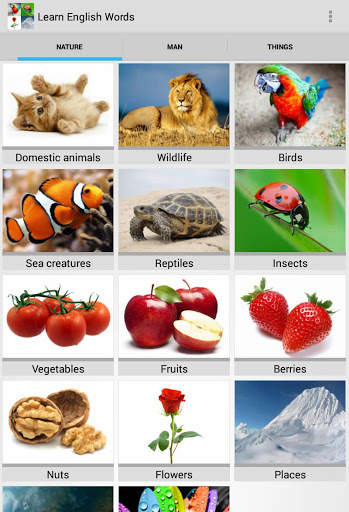 Learn English Words Free screenshot 9