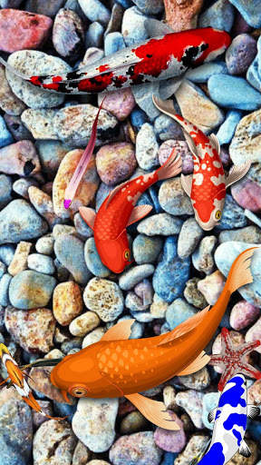 Koi Fish Wallpaper 3D - Water Fish Screensaver 3D screenshot 5