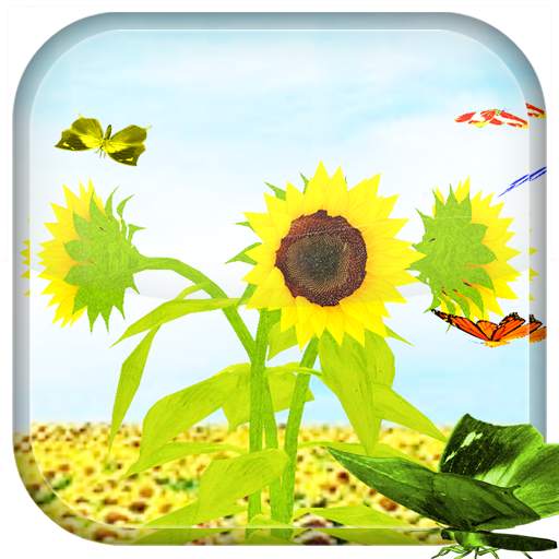 Sunflower 3D LiveWallpaper 3.8
