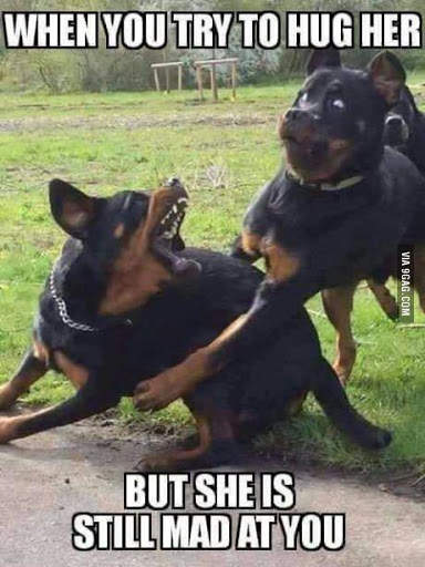 Funny Pictures Jokes screenshot 4