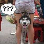 Funny Images - Memes For Whatsapp 1.0